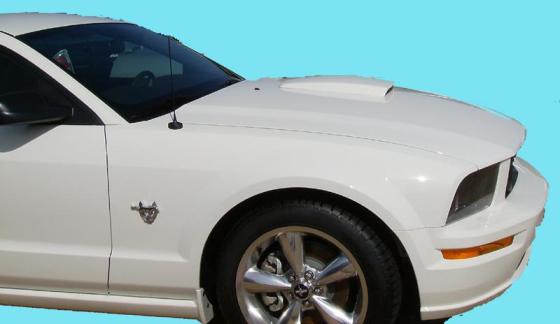 2005 Ford mustang factory warranty